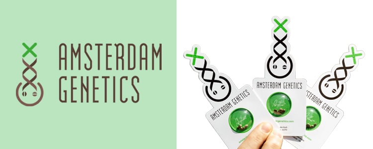 Amsterdam Genetics Mobile Header