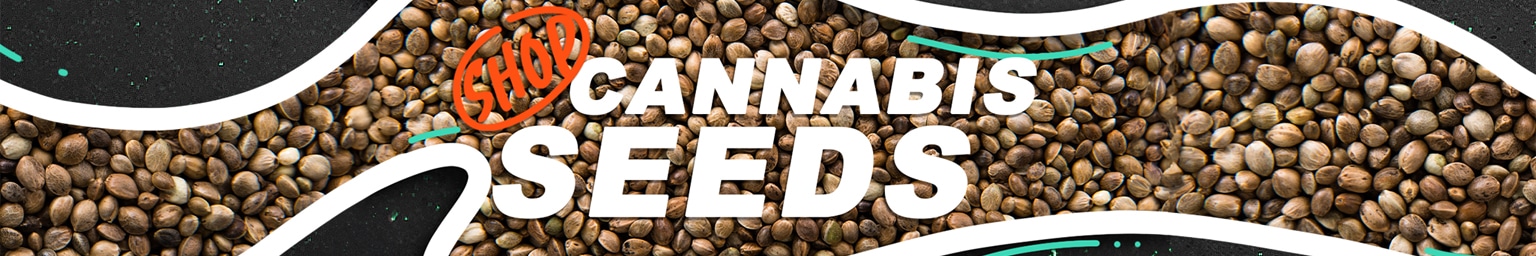 Cannabis Seeds Desktop Header